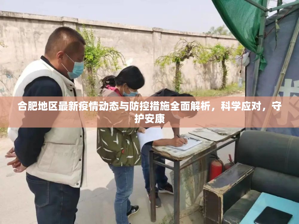 合肥地区最新疫情动态与防控措施全面解析，科学应对，守护安康