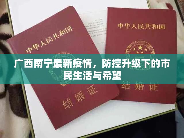 广西南宁最新疫情，防控升级下的市民生活与希望