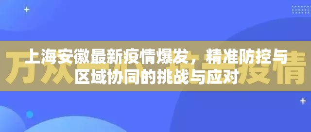上海安徽最新疫情爆发，精准防控与区域协同的挑战与应对