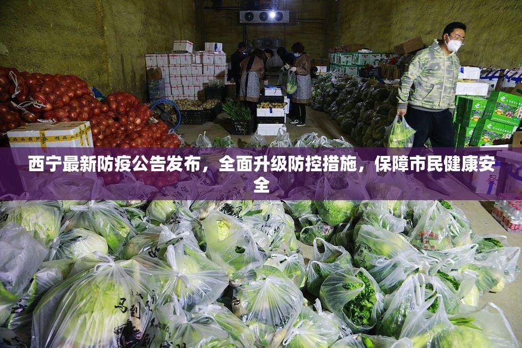 西宁最新防疫公告发布，全面升级防控措施，保障市民健康安全