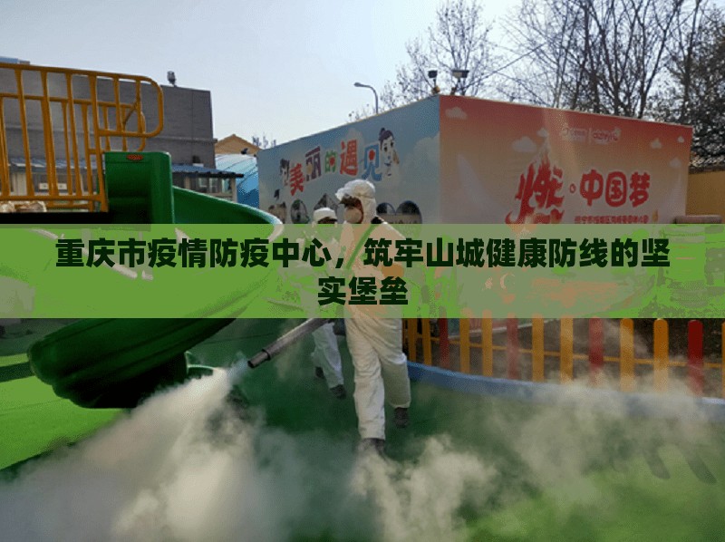 重庆市疫情防疫中心，筑牢山城健康防线的坚实堡垒