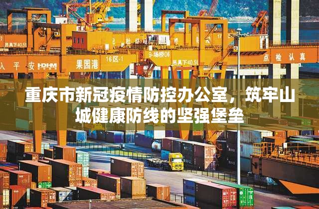 重庆市新冠疫情防控办公室，筑牢山城健康防线的坚强堡垒