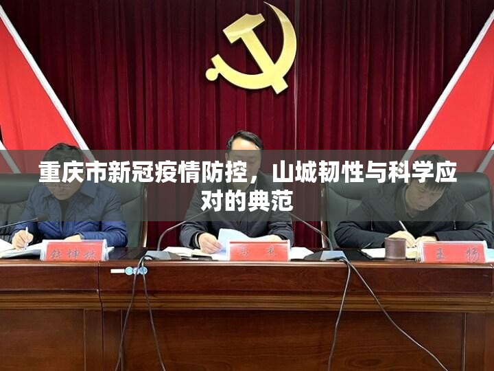 重庆市新冠疫情防控，山城韧性与科学应对的典范