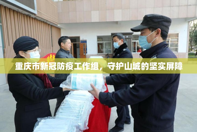 重庆市新冠防疫工作组，守护山城的坚实屏障