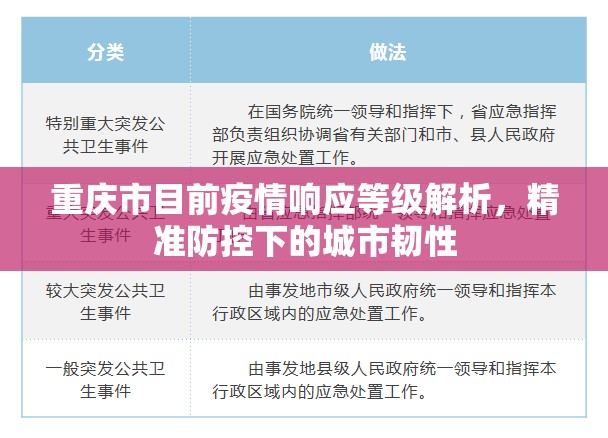 重庆市目前疫情响应等级解析，精准防控下的城市韧性