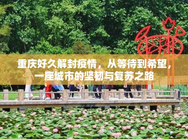 重庆好久解封疫情，从等待到希望，一座城市的坚韧与复苏之路