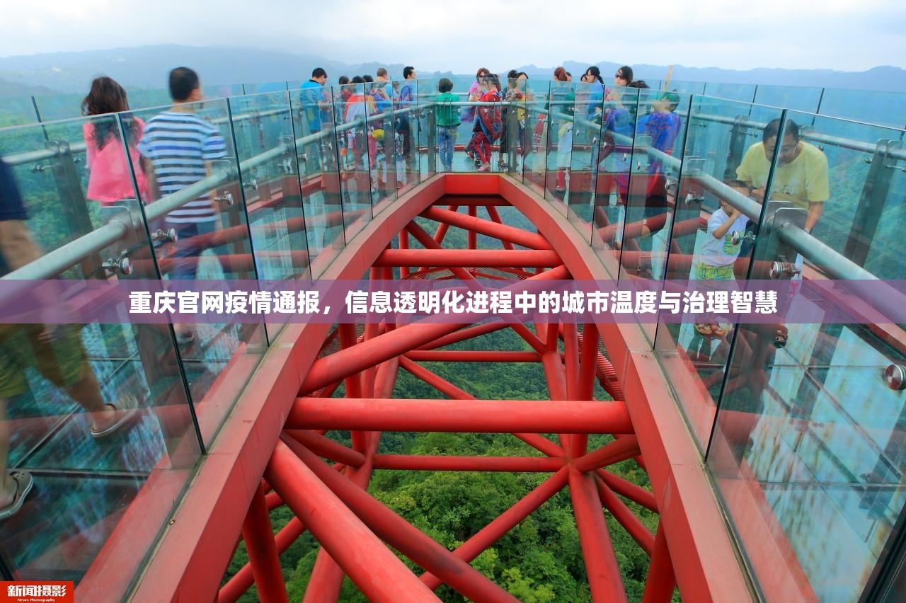 重庆官网疫情通报，信息透明化进程中的城市温度与治理智慧