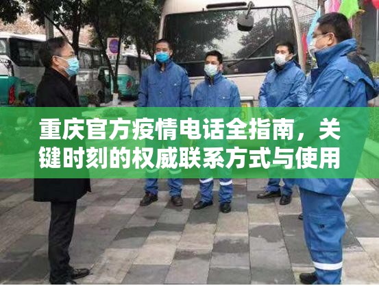 重庆官方疫情电话全指南，关键时刻的权威联系方式与使用建议