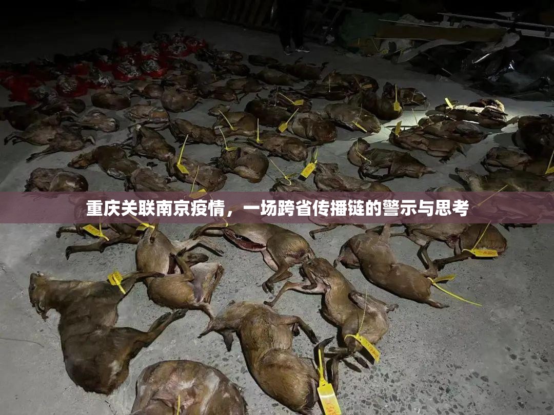 重庆关联南京疫情，一场跨省传播链的警示与思考