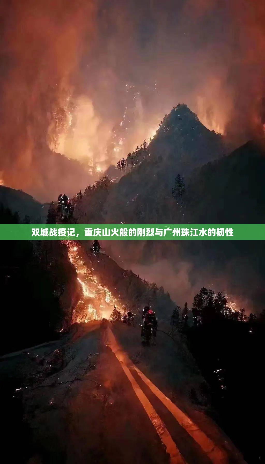 双城战疫记，重庆山火般的刚烈与广州珠江水的韧性