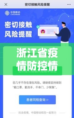 浙江省疫情防控情况查询，高效透明，科技赋能，打造防疫金名片