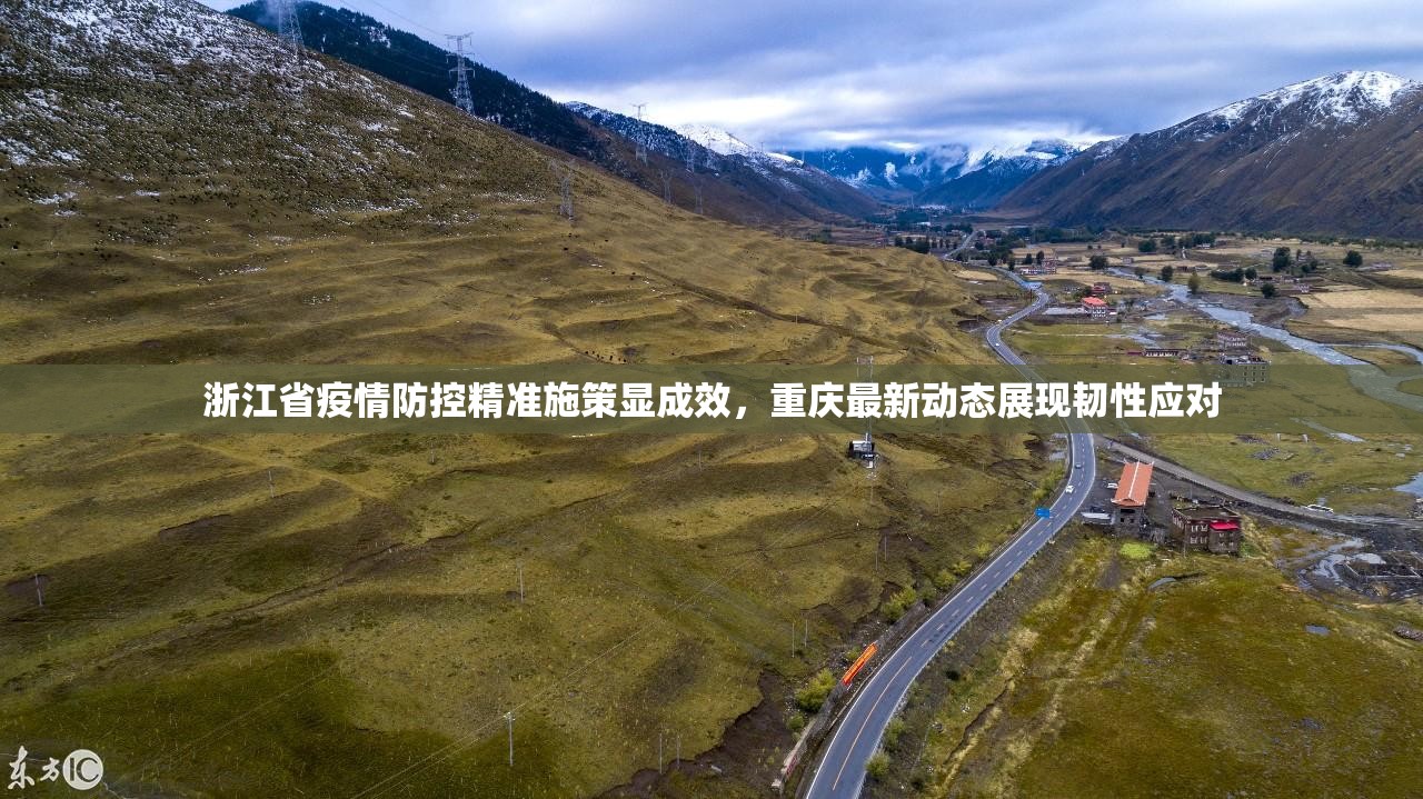 浙江省疫情防控精准施策显成效，重庆最新动态展现韧性应对
