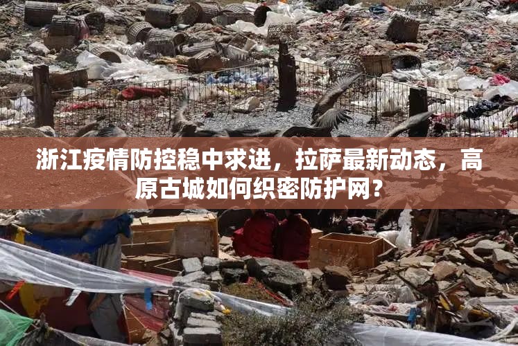 浙江疫情防控稳中求进，拉萨最新动态，高原古城如何织密防护网？