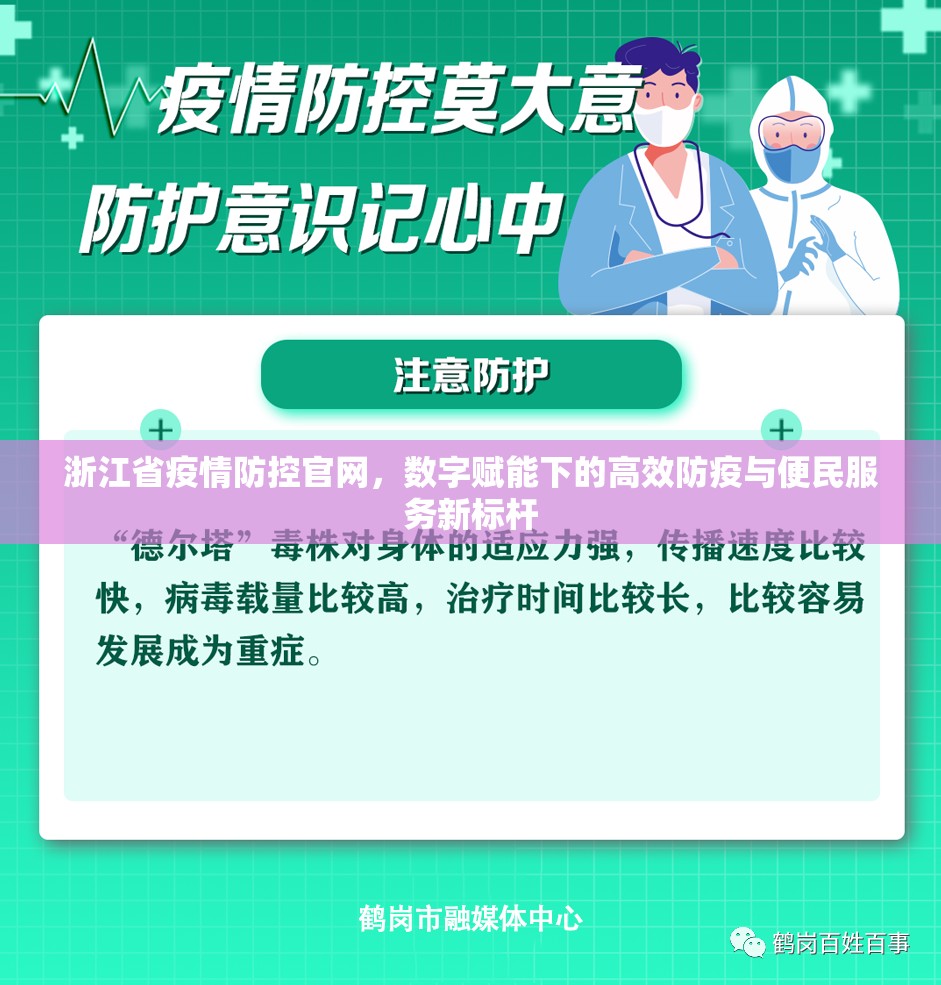 浙江省疫情防控官网，数字赋能下的高效防疫与便民服务新标杆
