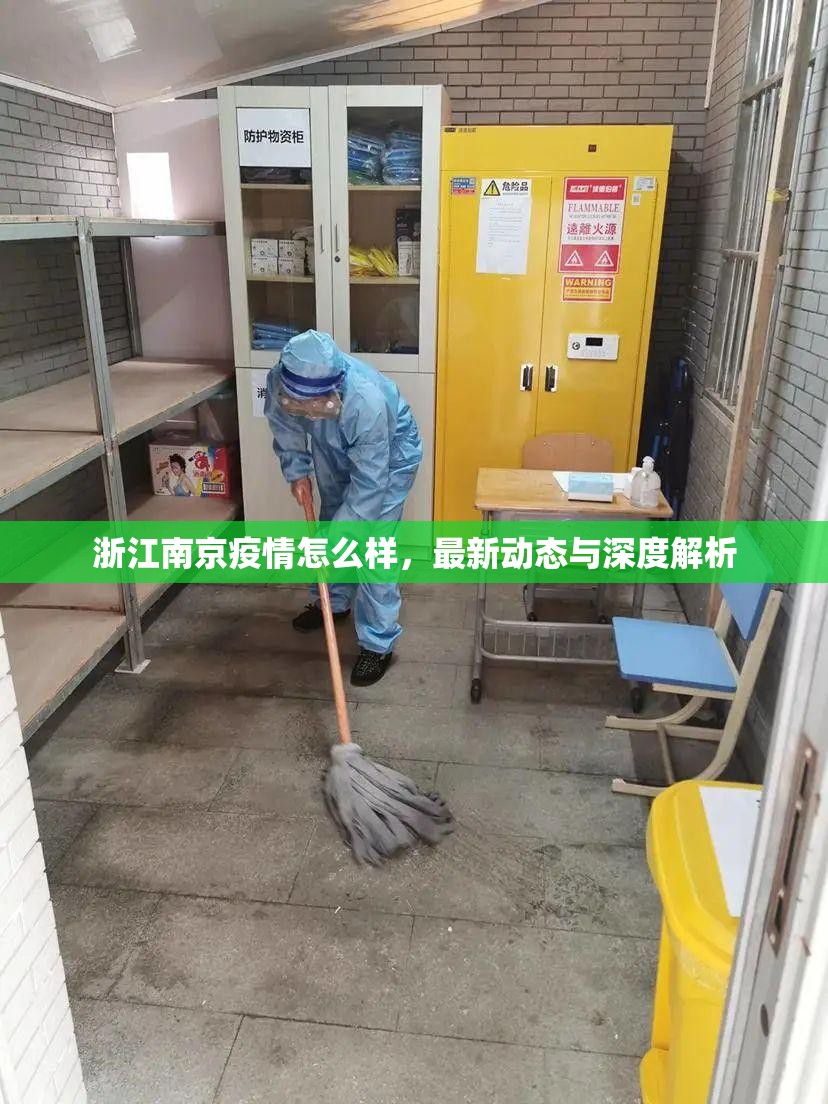 浙江南京疫情怎么样，最新动态与深度解析