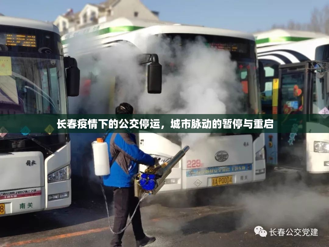 长春疫情下的公交停运，城市脉动的暂停与重启